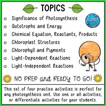Photosynthesis Graphic Organizer - 4 Great Photosynthesis Worksheets - Image 3