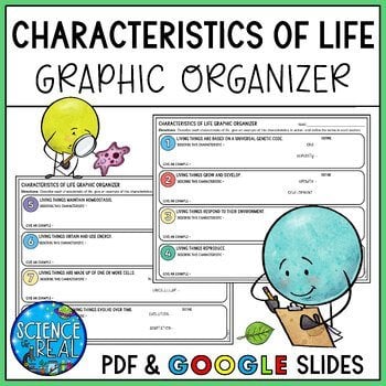 Characteristics of Life Graphic Organizer
