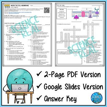 Cell Membrane Amoeba Sisters Handout - Image 2