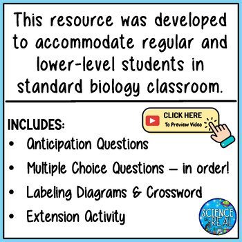 Cell Membrane Amoeba Sisters Handout - Image 3