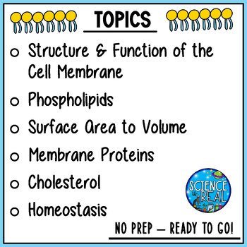 Cell Membrane Amoeba Sisters Handout - Image 4