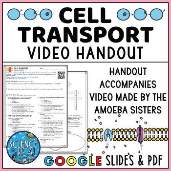 Cell Transport Amoeba Sisters Handout
