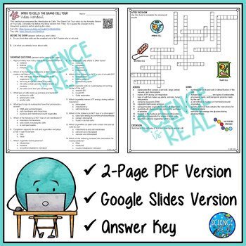 Cells Amoeba Sisters Video Handout - Image 2