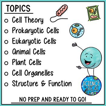Cells Amoeba Sisters Video Handout - Image 4