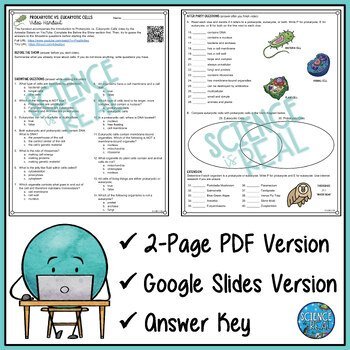 Prokaryotic and Eukaryotic Cells Amoeba Sisters Video Handout - Image 2