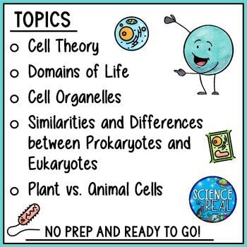 Prokaryotic and Eukaryotic Cells Amoeba Sisters Video Handout - Image 4