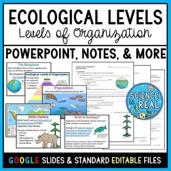 Ecological Levels PowerPoint