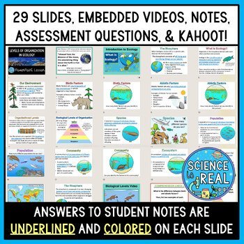 Ecological Levels PowerPoint, Notes, Questions, and Kahoot - Image 2
