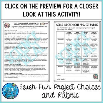 Cells Choice Board - 7 Projects to Choose From - Image 3