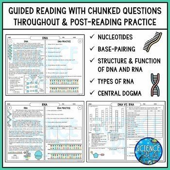 DNA and RNA Reading Comprehension - Image 3