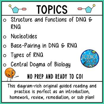 DNA and RNA Reading Comprehension - Image 4