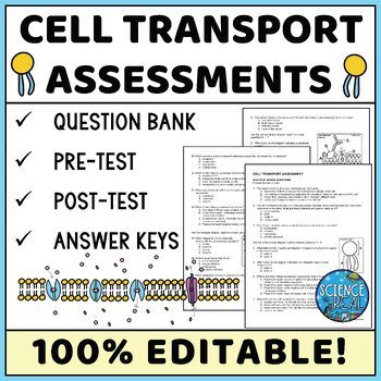 cell transport assessment