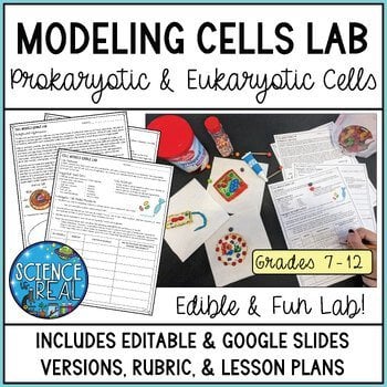 edible cell model lab