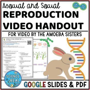Reproduction Amoeba Sisters video handout