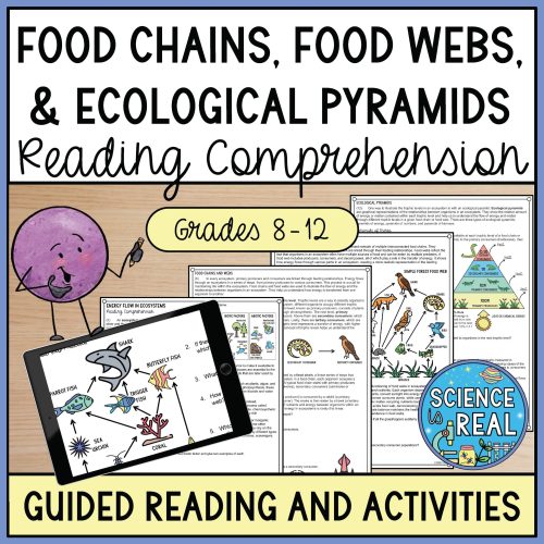 Energy flow in ecosystems reading comprehension