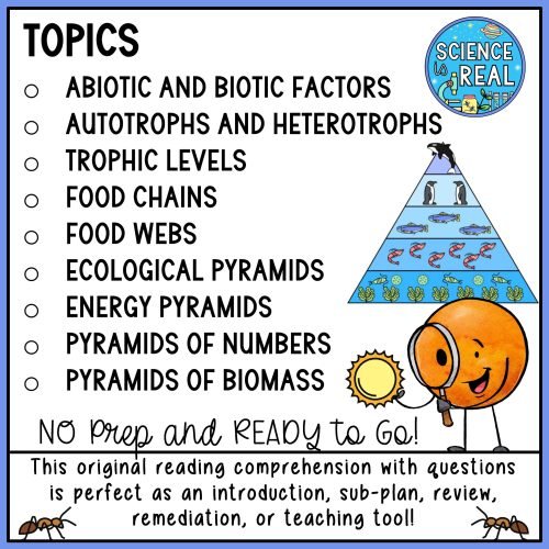 Energy flow in ecosystems reading comprehension