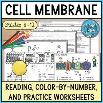 cell membrane color by number