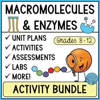 Macromolecules and enzymes activity bundle