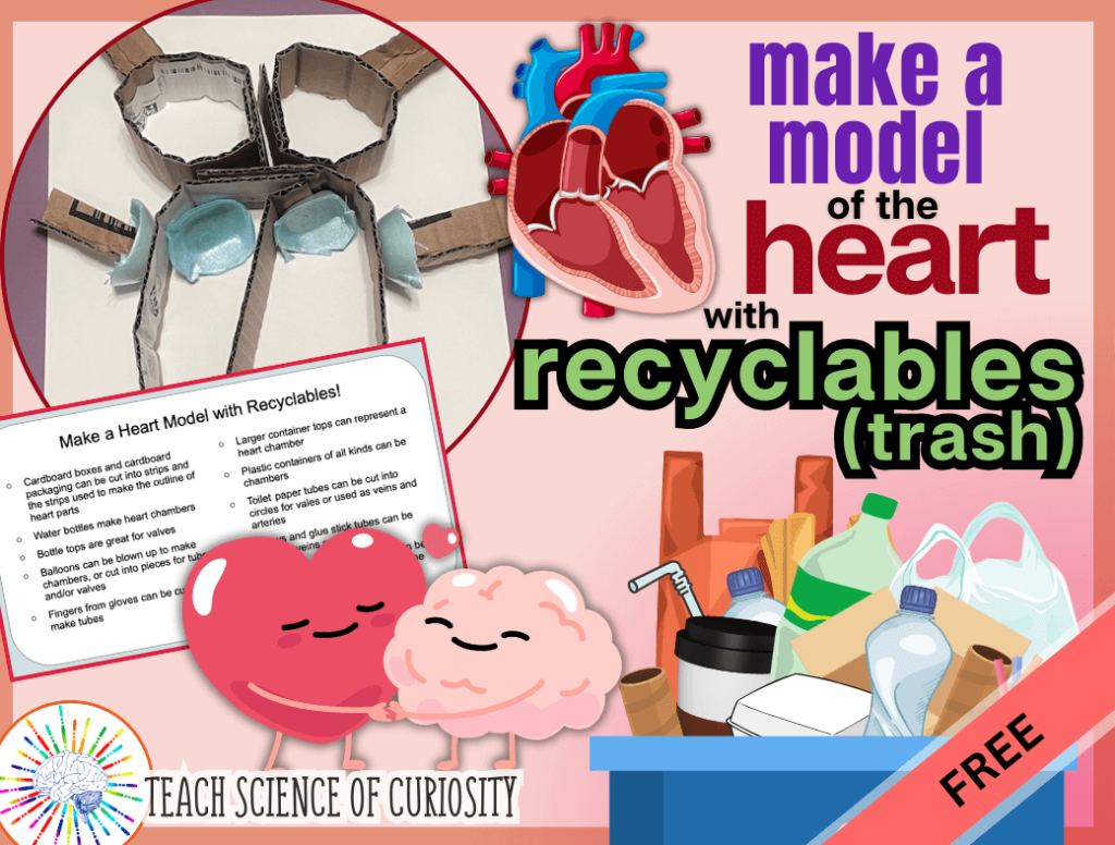 valentine' day science activities