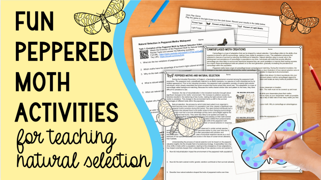 peppered moth activities
