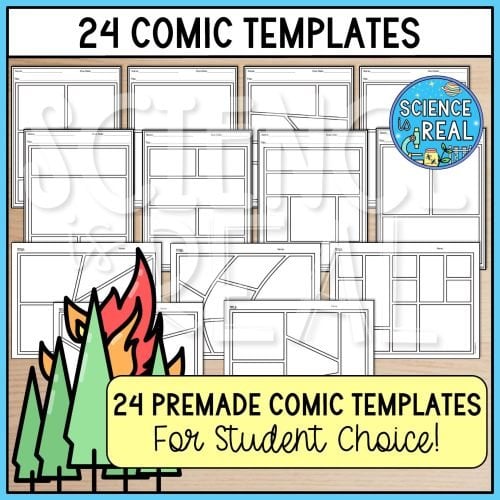 ecological succession comic strip activity