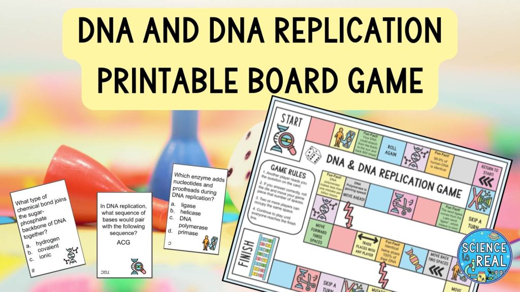 DNA Replication Activities