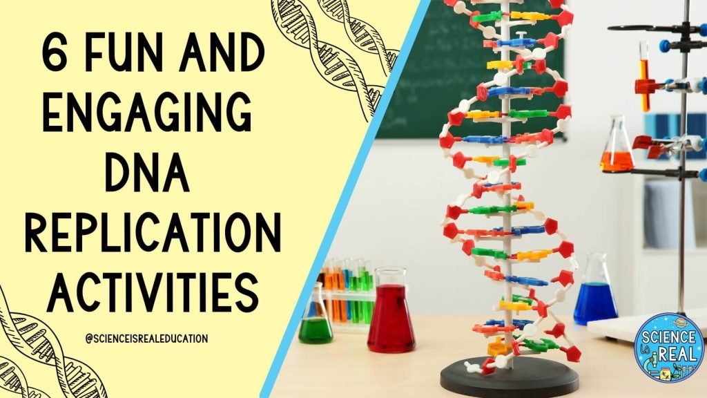 DNA Replication Activities