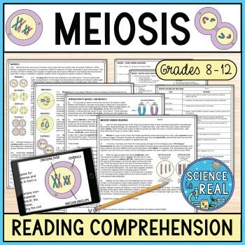 meiosis reading comprehension