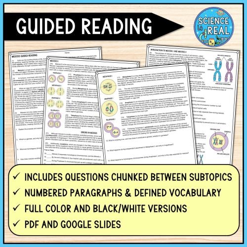 meiosis reading comprehension