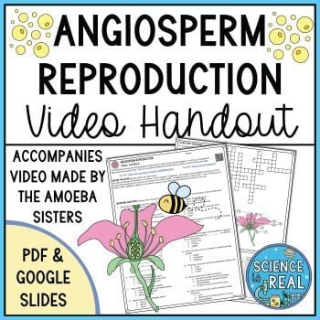 Angiosperm Reproduction Amoeba Sisters Handout