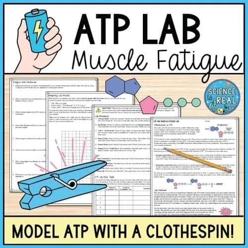 ATP Lab