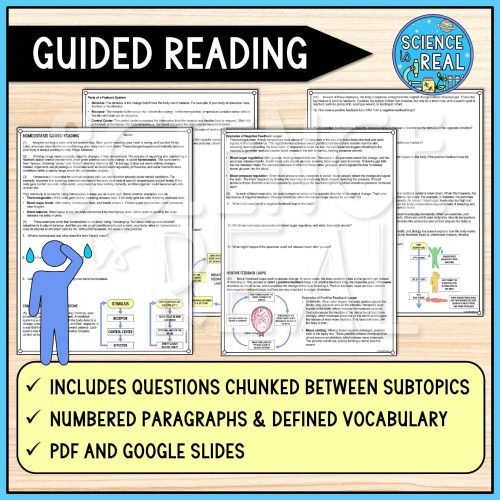 homeostasis reading comprehension