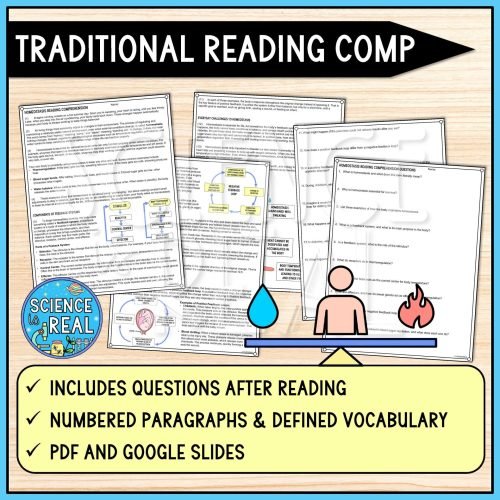 homeostasis reading comprehension