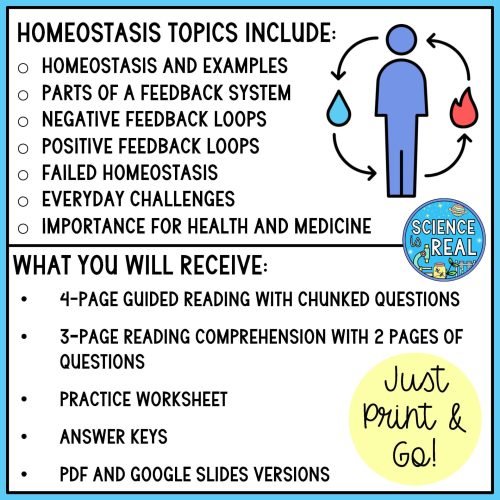 homeostasis reading comprehension
