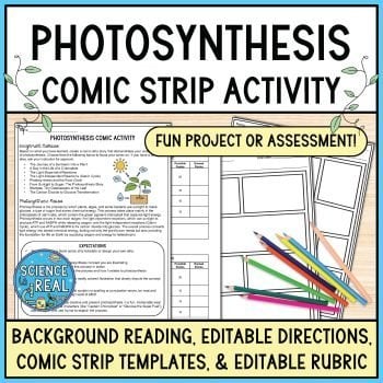 Photosynthesis Comic Project