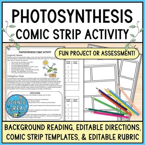 Photosynthesis Comic Project