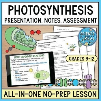 Photosynthesis PowerPoint
