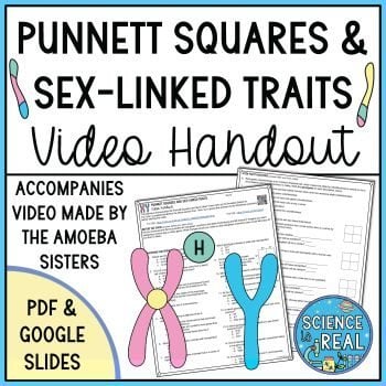 Punnett Squares and Sex-Linked Traits Amoeba Sisters Handout