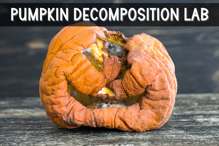 Halloween Science Activities