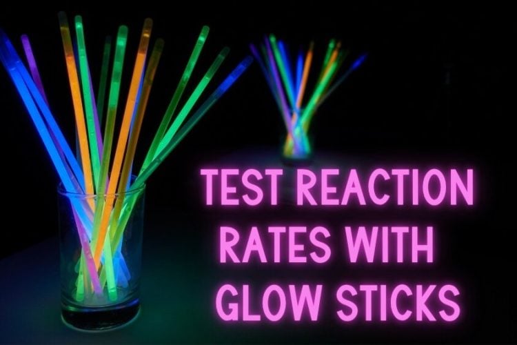 Halloween Science Activities