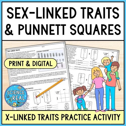 Sex-Linked Traits Punnett Squares Worksheet