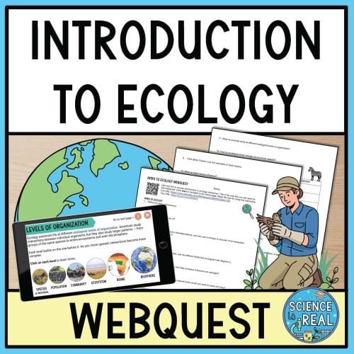 Ecology Webquest