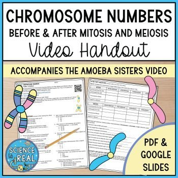 Chromosome Numbers Amoeba Sisters Handout