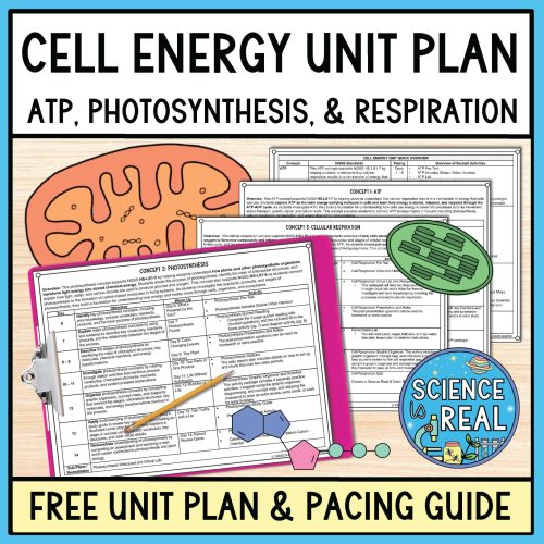Cell Energy Unit Plan
