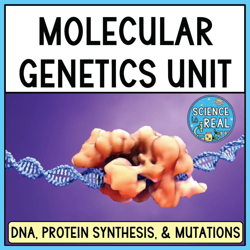 Molecular Genetics Unit