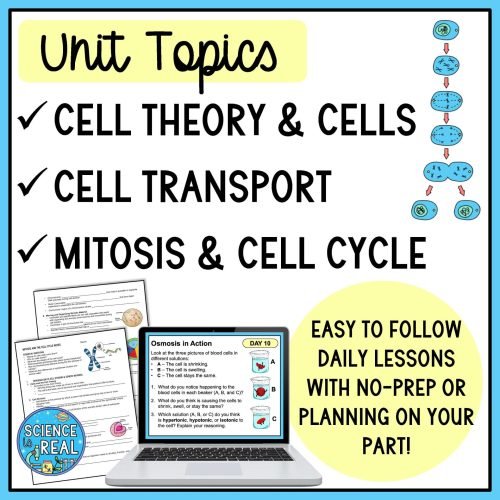 Cells Unit
