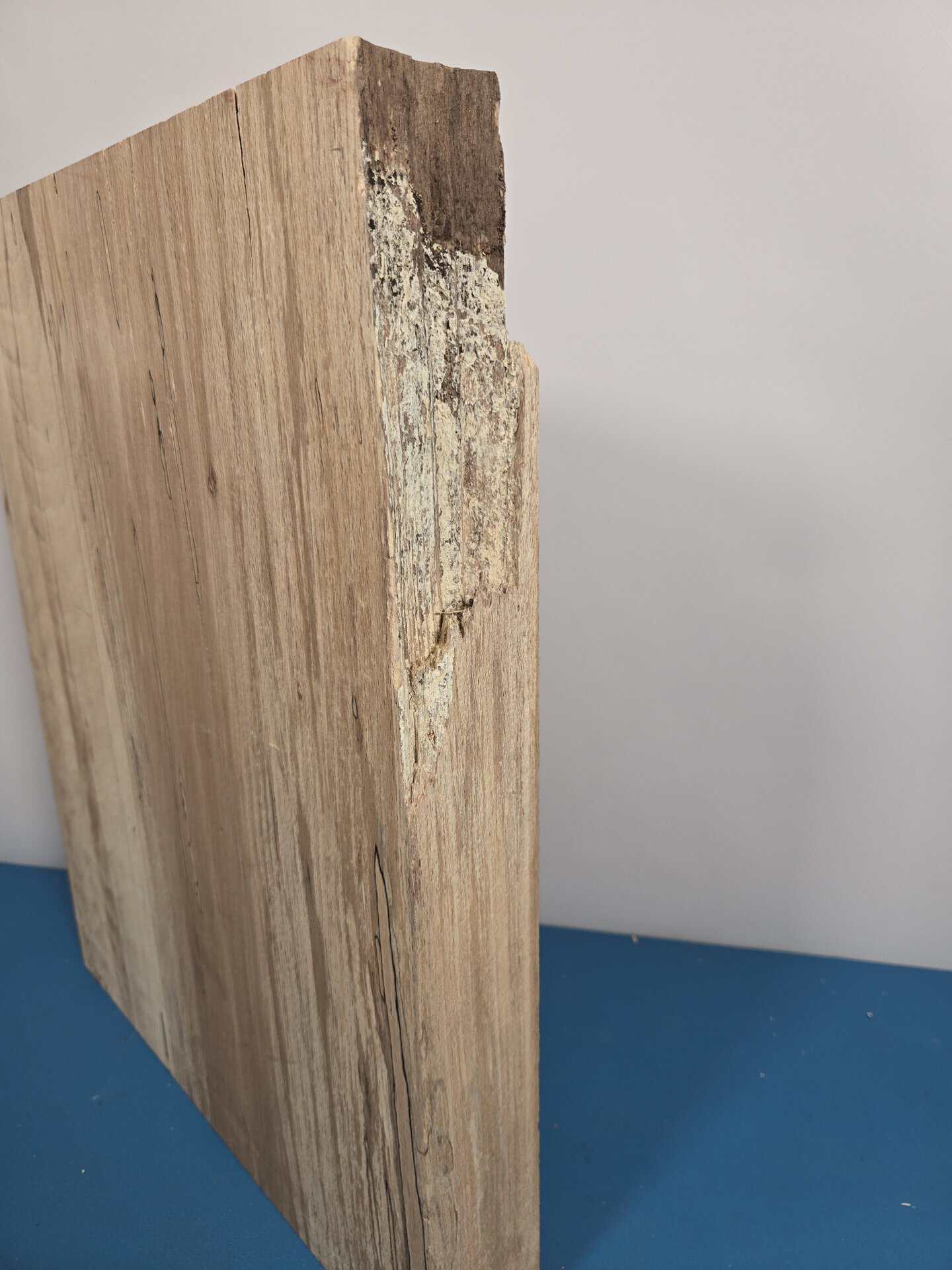 Large Beech Blank - Image 4