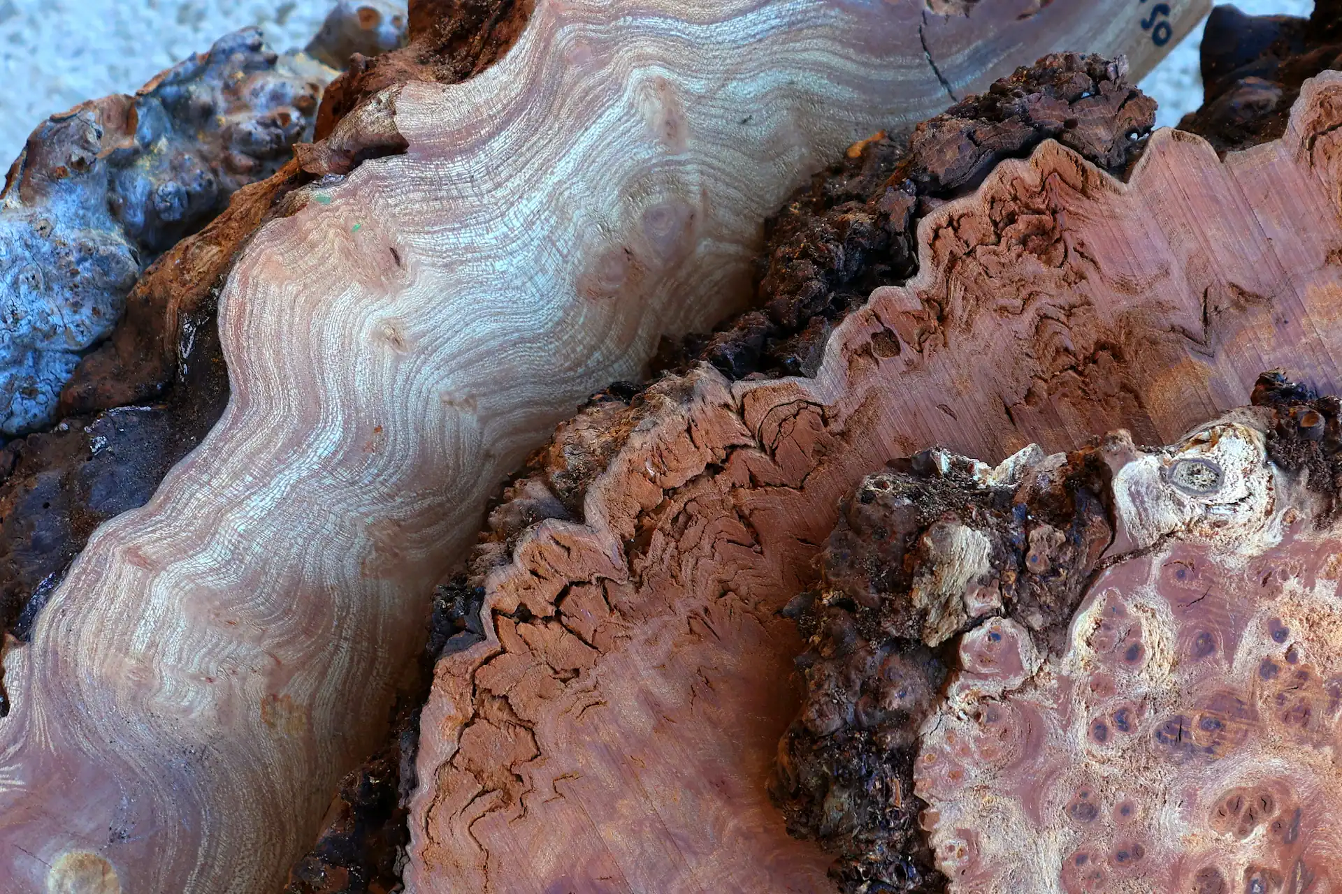 Detail shot of various Scottish Elm burrs showing different colours and grain patterns