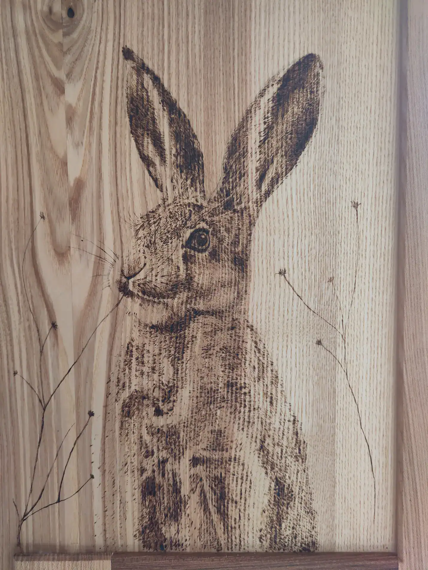 Scottish Ash crafted into a cupboard door, decorated with pyrography of a hare