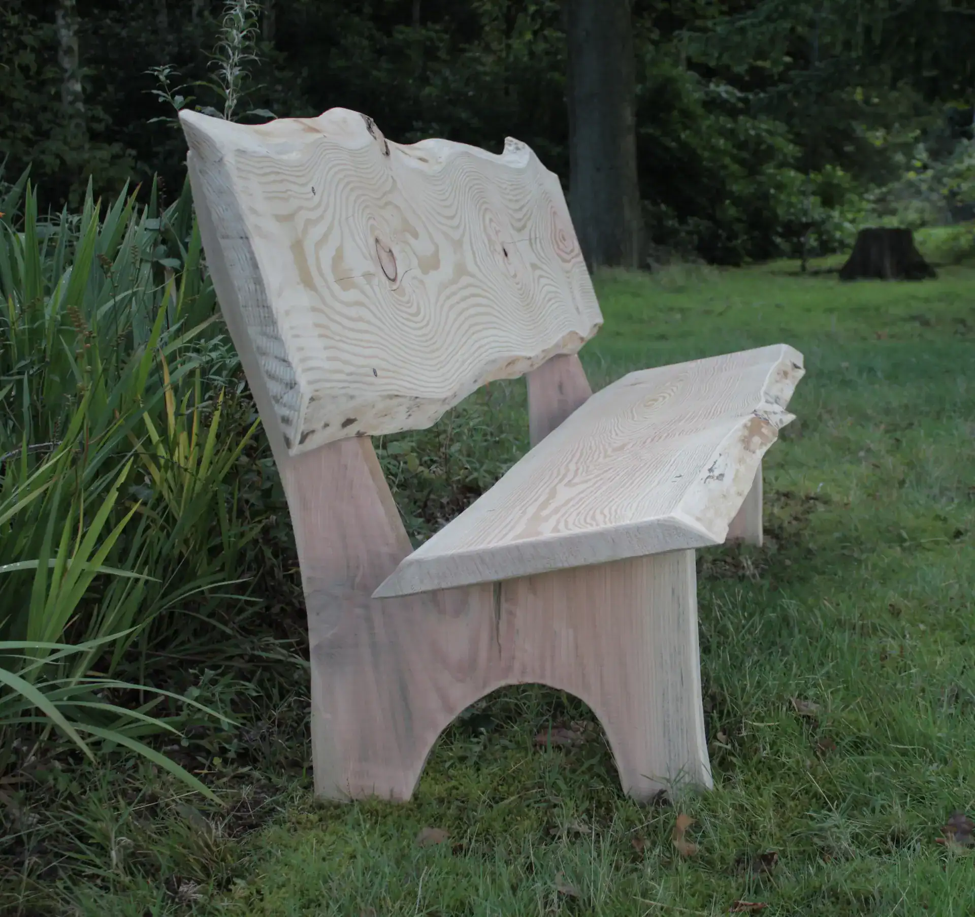 Scottish Larch garden bench with natural live edges on the back and seat